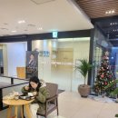 다미가든 이미지