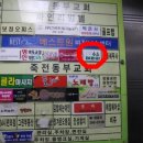 편백수소테라피