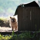 청산농원민박 이미지