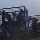 영국농장 이미지