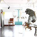 황금 당구장 이미지