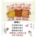 일등민박 이미지
