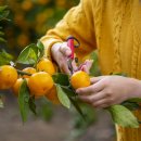 열린미생물농장 이미지