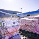 한국의약품물류(주) 이미지