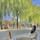 수원-0662 티스토리
