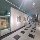 고흥이야기 이미지