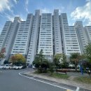 상남동117 이미지