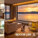 주식회사 펫21 이미지