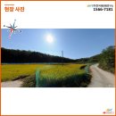 와룡 태양광발전소 이미지