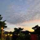 모아니스테이 이미지