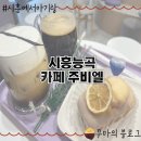 경기 시흥 능곡 카페 주비엘 솔직후기