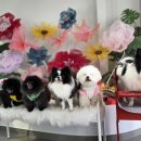 레인바우 이미지