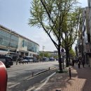 경북대학교 경대 북문 논문 당일 제본 기타 복사, 현수막, 프린트 추천 * 디자인앤프린팅 *