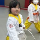 화남 태권도 이미지