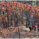 김용사 주차장 이미지