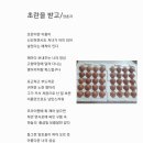 초란을 받고 이미지