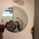 젠틀로스터스 이미지