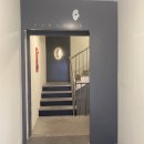 페르소나 피티 이미지