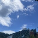 포항시립미술관 | [포항] 북구 가볼만한 곳 포항시립미술관 관람 후기(도슨트 전시해설)