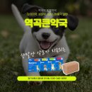 역곡큰약국 이미지