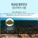 광천 | 신안수산 옛날 광천김 내돈내산 후기 유튜버 김나영 추천템