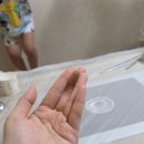 대가유노횟집