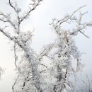 국수당 이미지