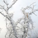 빙화(氷花)(익근리→백둔봉→명지산2봉→아재비고개→연인산→우정봉→국수당) 이미지