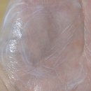 CNP 씨앤피 애프터-레이 쿨링 선퀴드 사용 후기 : 가벼운 선크림
