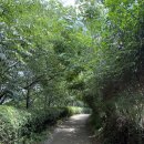 진주에나길 2코스 이미지