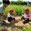 순성어린이집 이미지