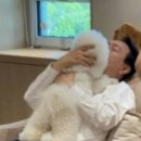 D00131 이미지