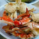 궁리회센타 이미지