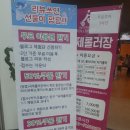 푸마뉴코아