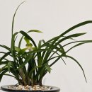 거목개발(주) 이미지