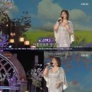 금잔디 티브이데일리