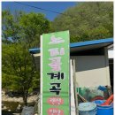느티골길 | 계곡이 10초 거리인 금산 가성비 느티골펜션