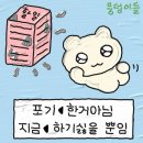 리브가의 행복한날 | 반년간의 스페인 교환학생 후기