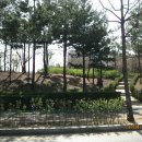 서부순환로 이미지