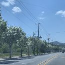 비룡주유소 이미지