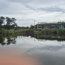 헬로남생이 <b>남생이</b>못/ <b>헬로</b><b>남생이</b>/신촌<b>남생이</b>못/노란어리연꽃