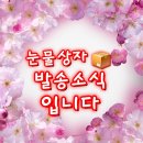 해병대!! 복종주를 지내고 있는 아들들 이미지