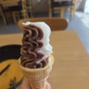 라홍방화성 | [남양읍] 라홍방마라탕 화성시청점 점심 혼밥 후기