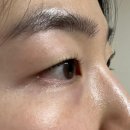 오직뷰티 | [뷰티] 잠실속눈썹펌 오직뷰티 _ 잠실속눈썹 대만족한 솔직후기 (무쌍속눈썹펌 전후비교)