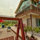 강여울 숲 이미지