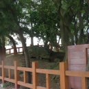 용담지석묘 1호 이미지