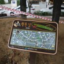 그린메디칼 이미지