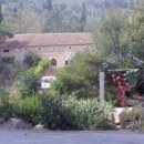 인의농장 이미지