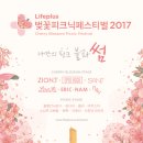 한강봄꽃피크닉페스티벌 이미지
