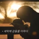 진주세탁 이미지